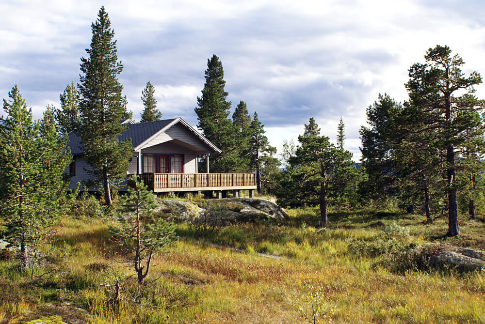 Cottage surrounded by trees in a peaceful rural setting, representing family cottage ownership, succession, and estate planning with TLR Law in Manitoba.