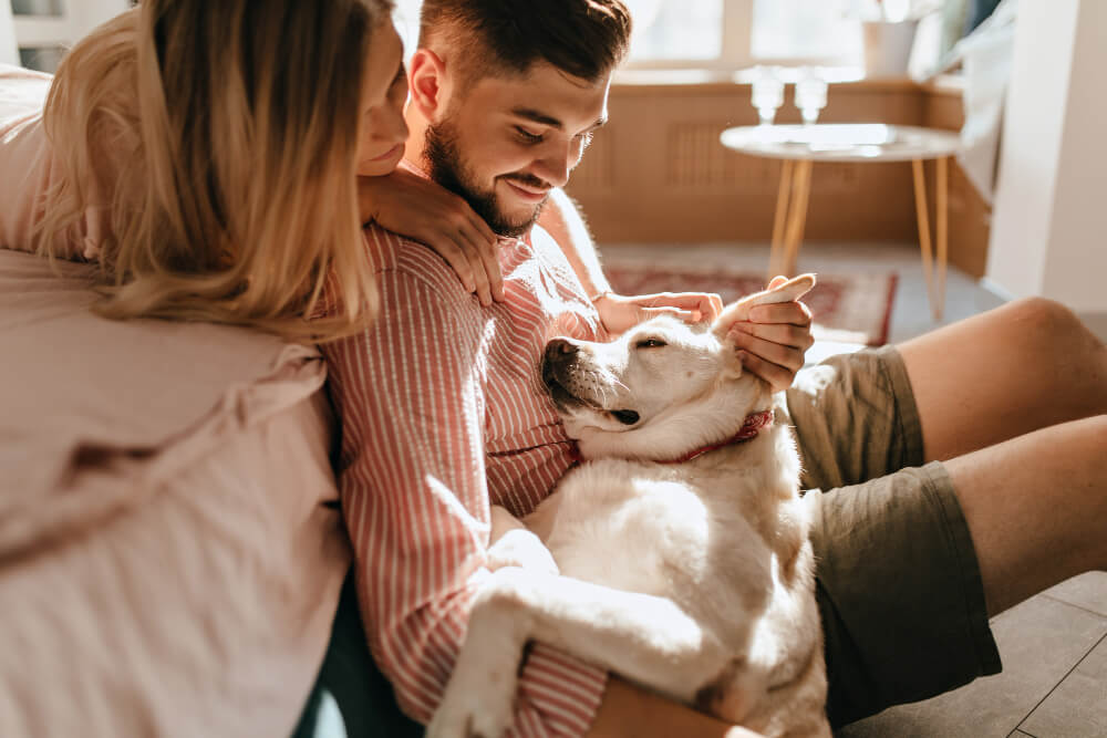 Couple relaxing at home with their dog, representing pet care planning through wills and powers of attorney with TLR Law in Manitoba.