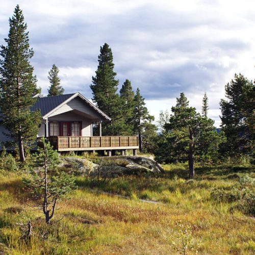 Cottage surrounded by trees in a peaceful rural setting, representing family cottage ownership, succession, and estate planning with TLR Law in Manitoba.