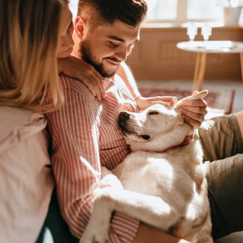 Couple relaxing at home with their dog, representing pet care planning through wills and powers of attorney with TLR Law in Manitoba.