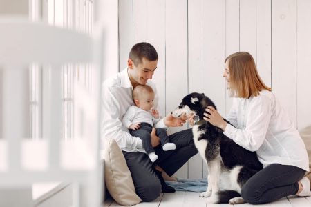 A young family with their baby and pet husky at home, representing the need to plan for pets in estate planning. TLR Law in Winnipeg, Manitoba helps families include pet care in their wills.